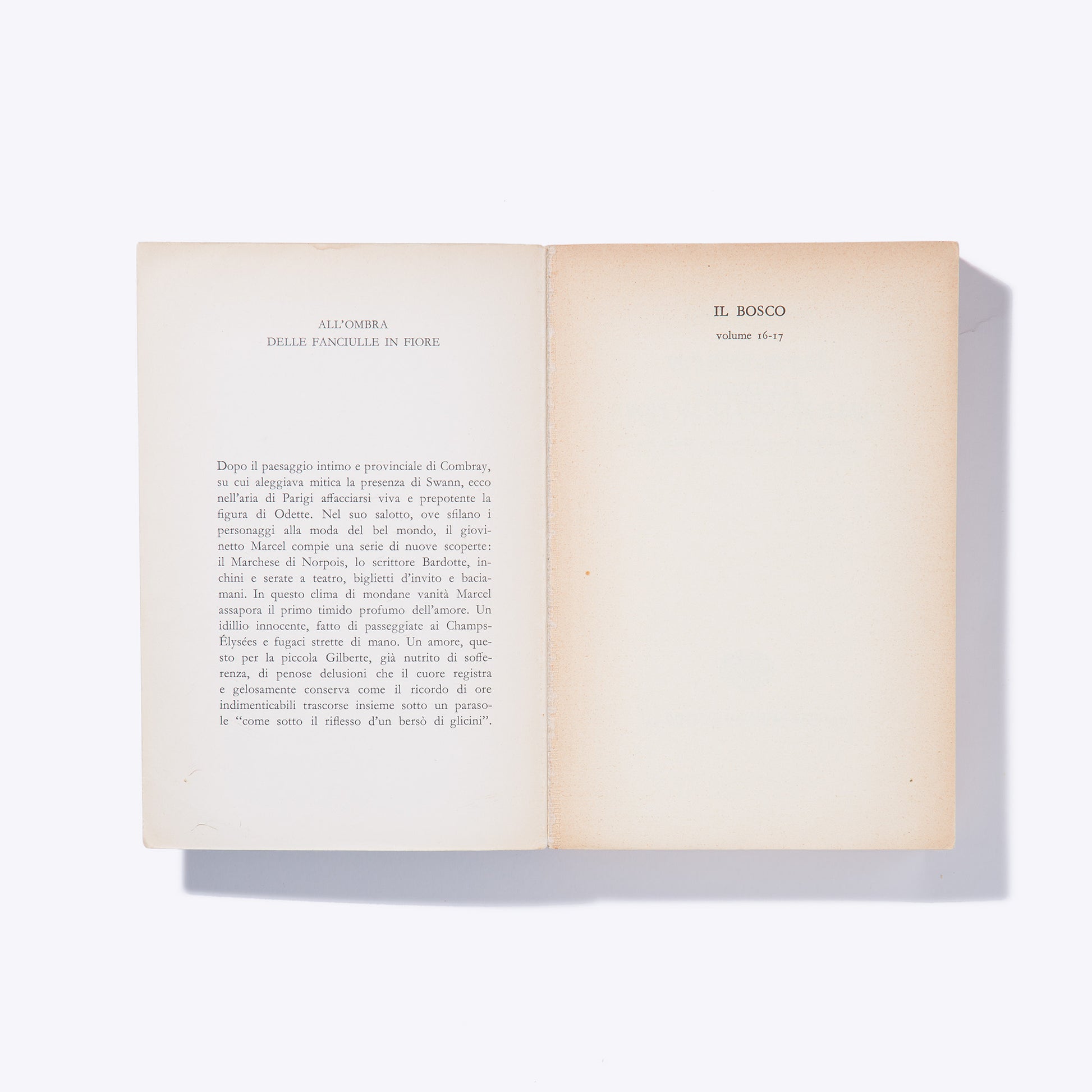 Liligutt Shop – All'ombra delle fanciulle in fiore – Marcel Proust