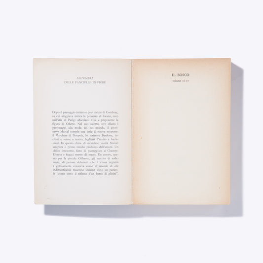 Liligutt Shop – All'ombra delle fanciulle in fiore – Marcel Proust