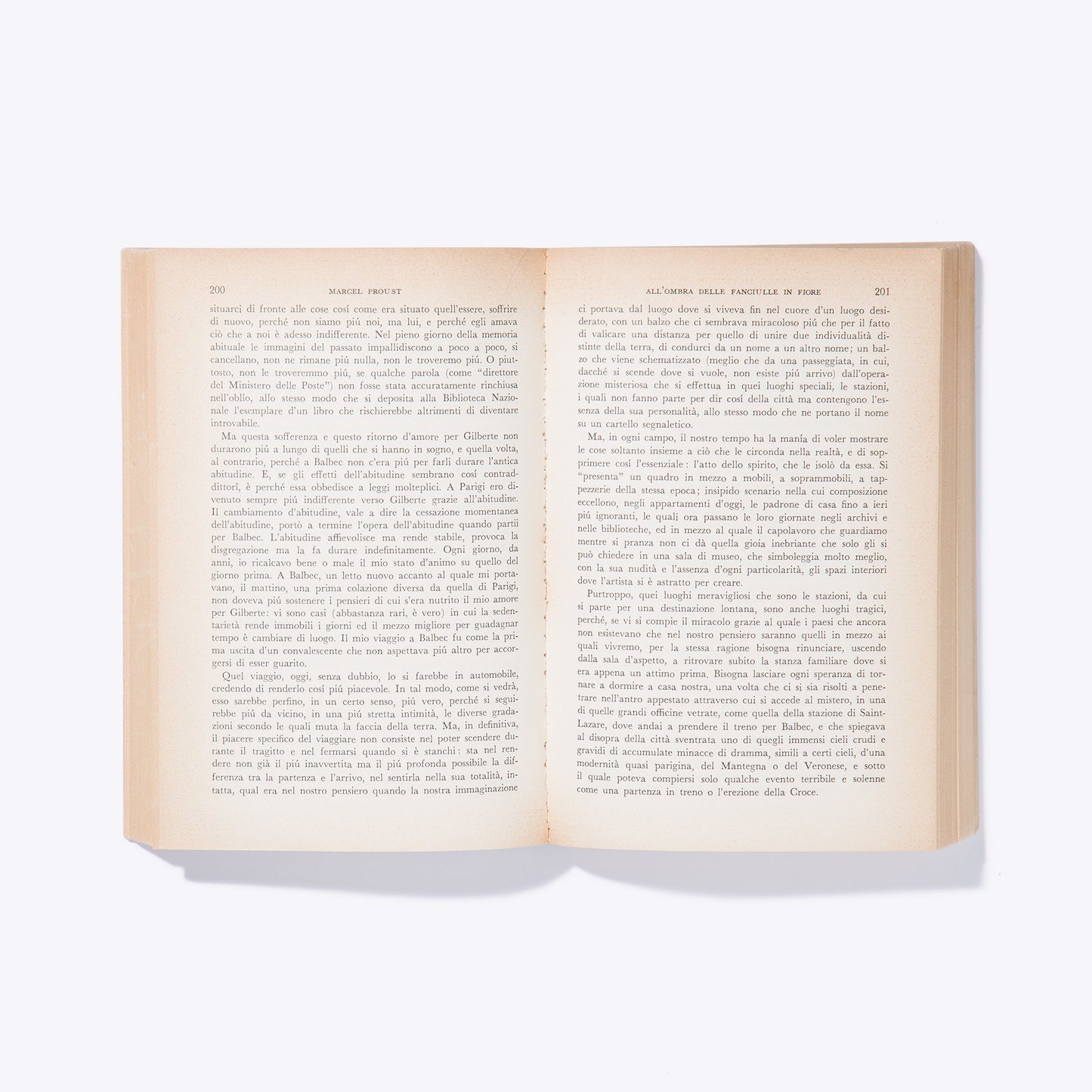 Liligutt Shop – All'ombra delle fanciulle in fiore – Marcel Proust