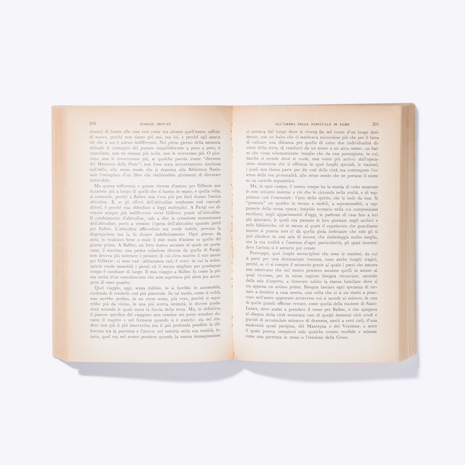 Liligutt Shop – All'ombra delle fanciulle in fiore – Marcel Proust