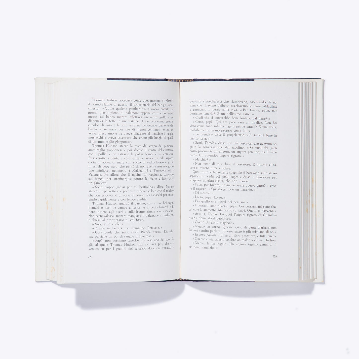 Liligutt Shop – Isole nella corrente – Ernest Hemingway