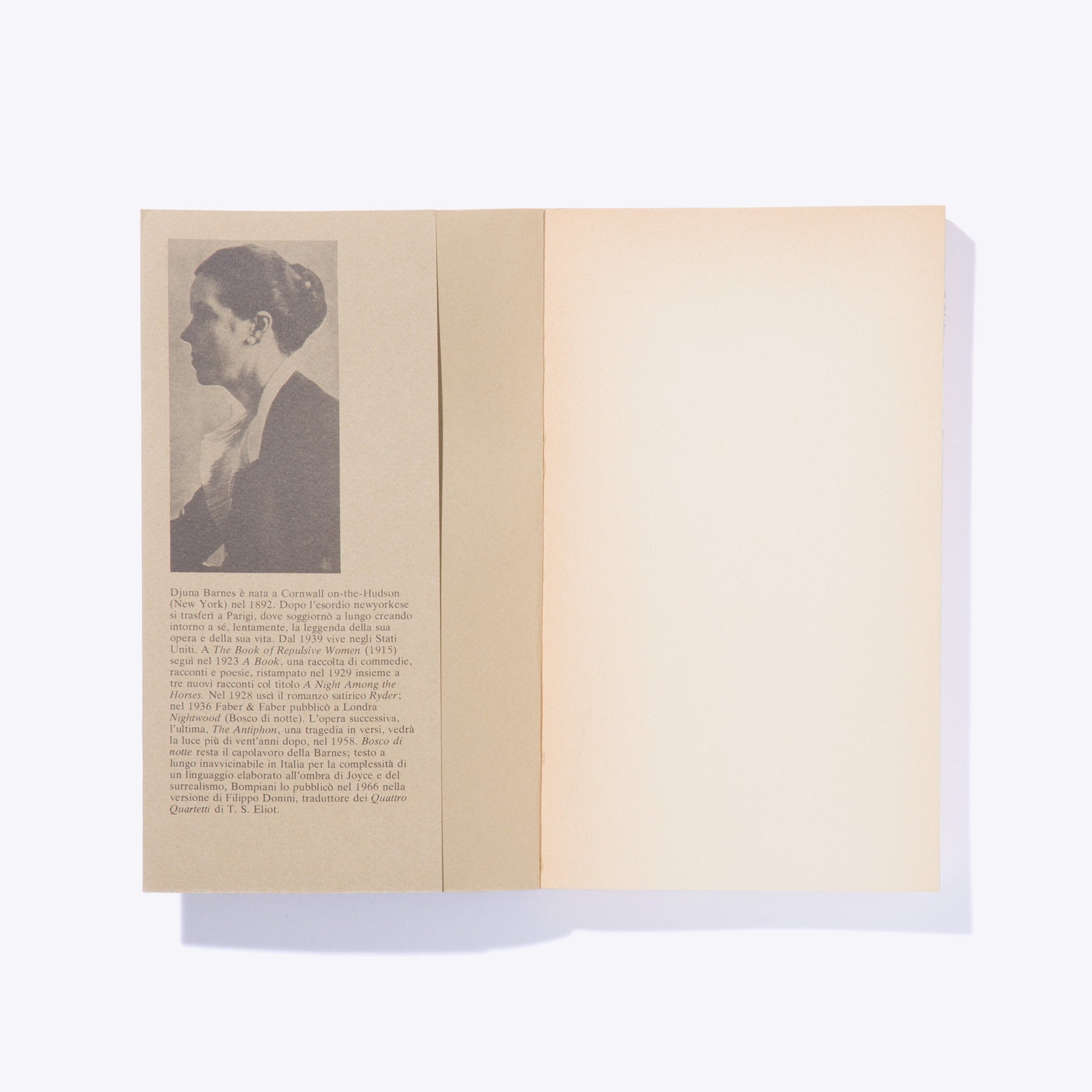 Liligutt Shop – Bosco di notte – Djuna Barnes